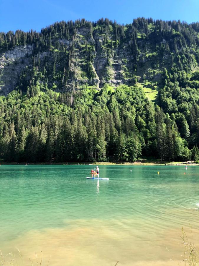 'Petite Ferme Les Bouts' Apartment, Sleeps 6, Nr Morzine La Cote d'Arbroz Exteriér fotografie