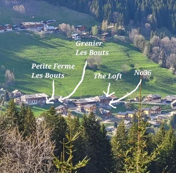 'Petite Ferme Les Bouts' Apartment, Sleeps 6, Nr Morzine La Cote d'Arbroz Exteriér fotografie